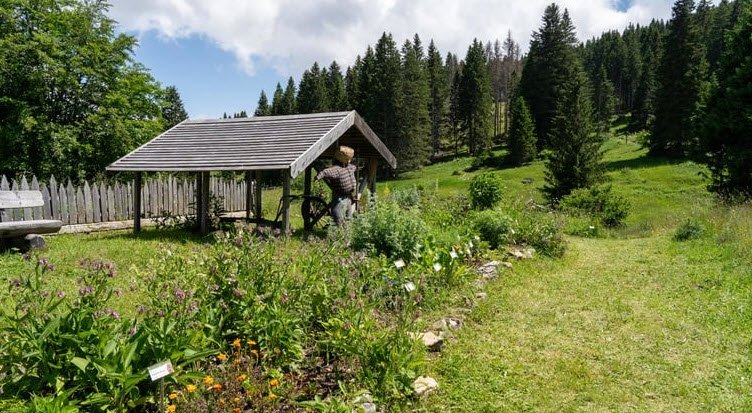 Giardino Botanico Alpino di Passo Coe, Italy